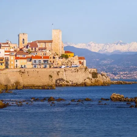 Renting - Massena - Loft - Heart Of Vieil - The Market With Sea View Appartement